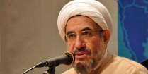 حل مشکلات جهان اسلام با بازگشت به هویت اسلامی ممکن است