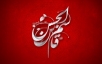 اشعار شب ششم محرم - حضرت قاسم بن الحسن (ع)