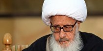 توصیه آیتالله وحید خراسانی برای دفع بیماری و نگرانیهای ناشی از آن