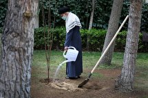 کاشت دو نهال میوه در روز درختکاری توسط رهبر انقلاب