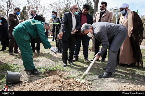 درختکاری مداحان به یاد شهدای مداح و پیرغلامان