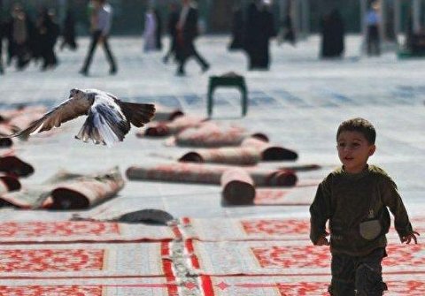 نماهنگ کبوتر/ حاج حسین خلجی