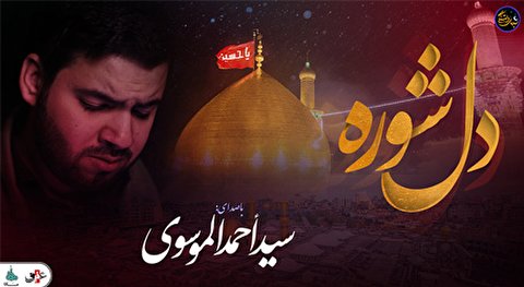 شب های دلتنگی (دلشوره) با صدای سید احمد الموسوی