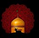 اشعار شهادت امام رضا (ع)