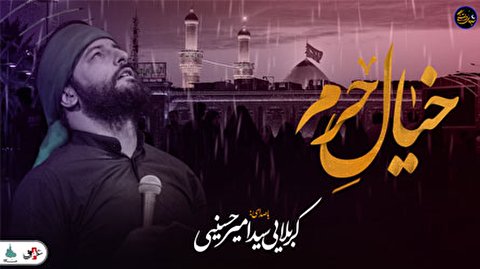 شب های دلتنگی ( خیال حرم) با صدای کربلایی سید امیر حسینی