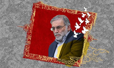 واکنش میثم مطیعی به ترور شهید هسته ای