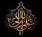 اشعار شهادت امیرالمومنین (ع)