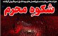 پیشخوان عقیق/ اخبار هیئت ها در هفته ای که گذشت+عکس