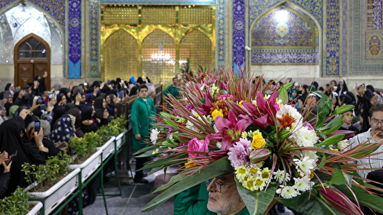 گل‌آرایی حرم امام رضا(ع) در نیمه شعبان+عکس