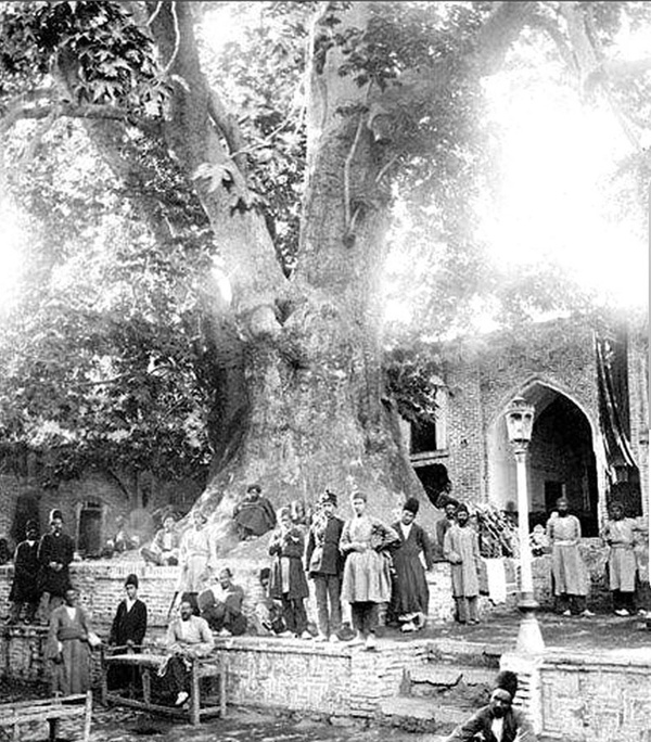 سرنوشت امامزاده‌ای که پادشاه تجریش شد