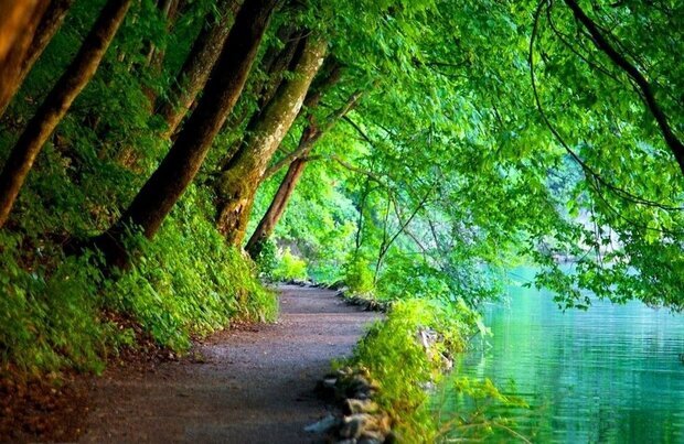 آیا لذت بردن از بهشت همانند لذت‌های دنیاست/ راز جاودانگی انسان در جنت