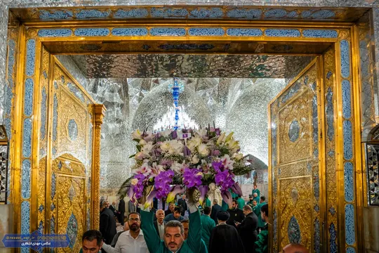 صبح امروز؛ گل آرایی روی ضریح مطهر امام رضا علیه السلام