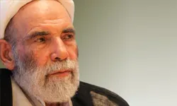 روایت آیت‌الله تهرانی از مقام زائران امام رضا(ع)