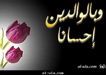 می خواهی سرعت سلوکت را بالا ببری؟