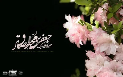 توجيه گناه، مورد نکوهش امام صادق(ع)