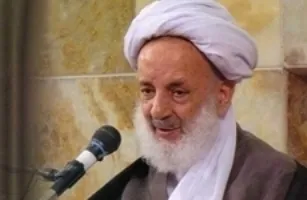 راهکار آیت الله مجتهدی برای حاجت گرفتن از امام رضا(ع)
