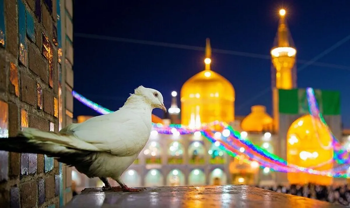 روایت شیخ حسین انصاریان از تواضع وصف ناشدنی حضرت امام رضا(ع)