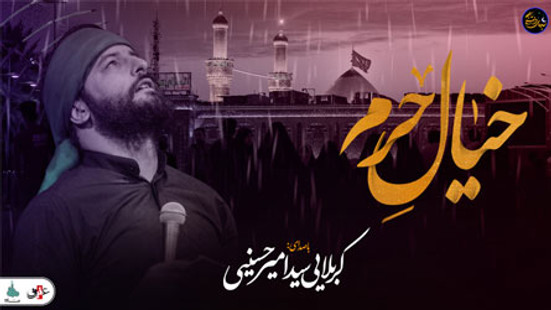 شب های دلتنگی ( خیال حرم) با صدای کربلایی سید امیر حسینی