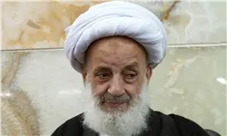 آيت الله مجتهدي: «گناه» حافظه را ضعیف می‌کند