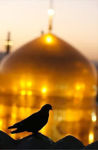 بچه ها دلشان در حرم جا مانده بود
